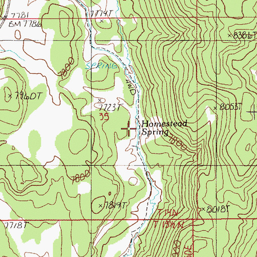 Topographic Map of Homestead Spring, NV