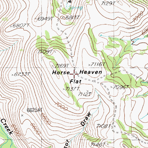 Topographic Map of Horse Heaven Flat, NV