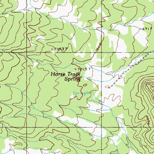 Topographic Map of Horse Track Spring, NV