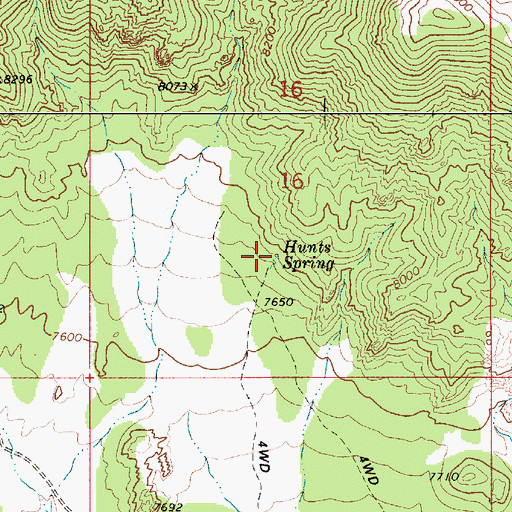 Topographic Map of Hunts Spring, NV