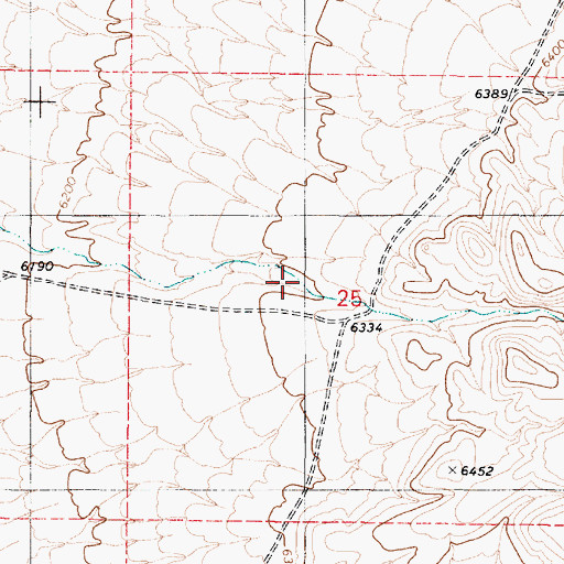 Topographic Map of Indian Canyon, NV