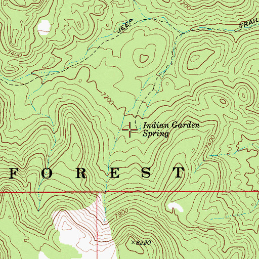 Topographic Map of Indian Garden Spring, NV