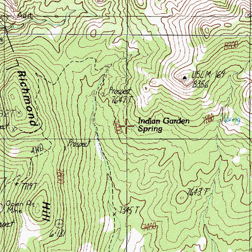 Topographic Map of Indian Garden Spring, NV