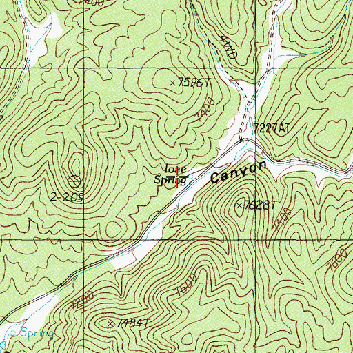 Topographic Map of Ione Spring, NV
