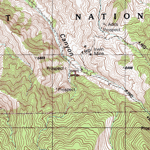 Topographic Map of Irwin Camp, NV