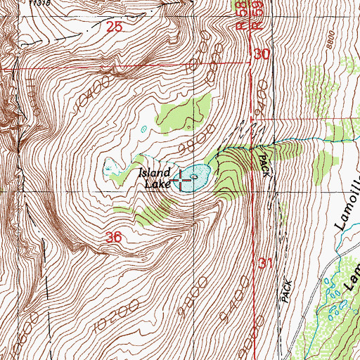 Topographic Map of Island Lake, NV