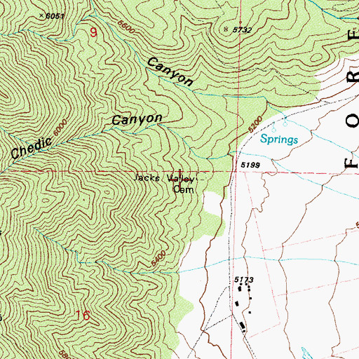 Topographic Map of Jacks Valley Cemetery, NV