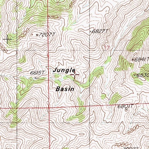 Topographic Map of Jungle Basin, NV