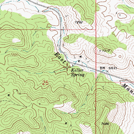 Topographic Map of Keller Spring, NV