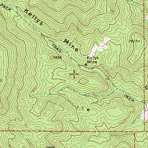 Topographic Map of Kellys Mine, NV