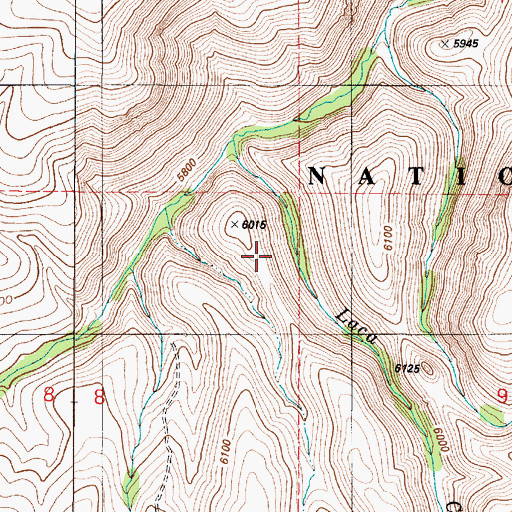 Topographic Map of Laca Creek, NV