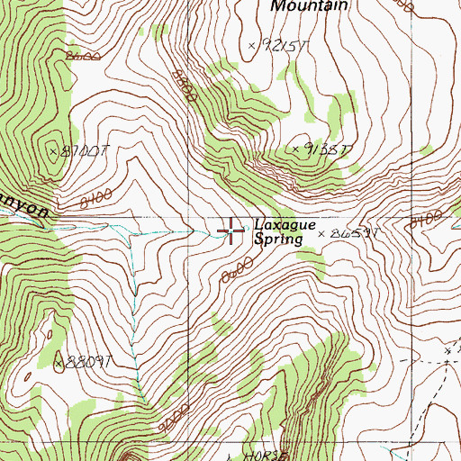 Topographic Map of Laxague Spring, NV