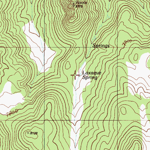 Topographic Map of Laxague Spring, NV