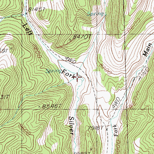 Topographic Map of Left Fork Silver Creek, NV