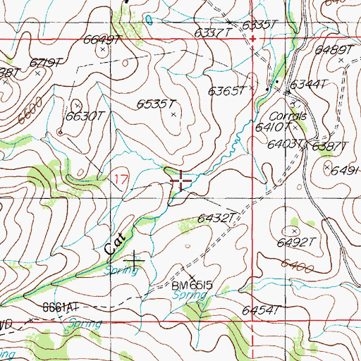 Topographic Map of Little Cat Creek, NV