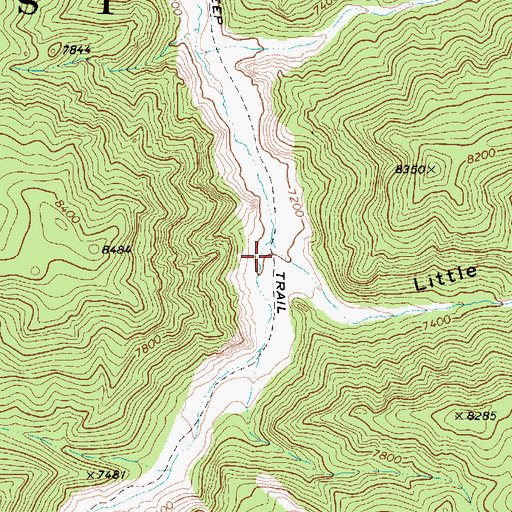 Topographic Map of Little Cottonwood Canyon, NV