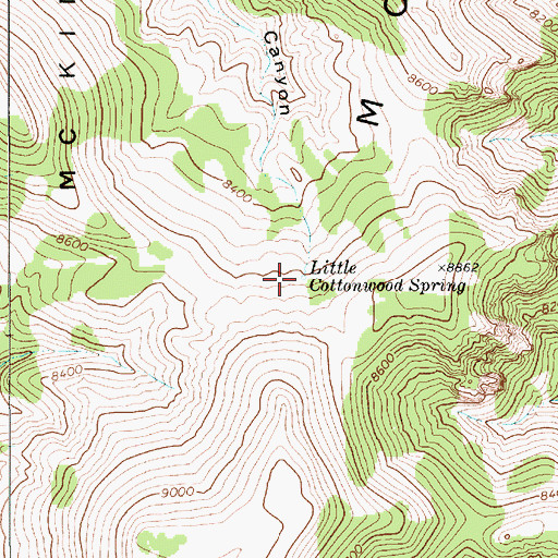 Topographic Map of Little Cottonwood Spring, NV