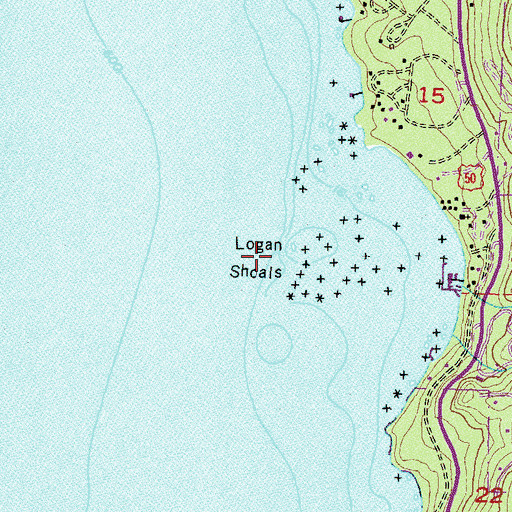 Topographic Map of Logan Shoals, NV