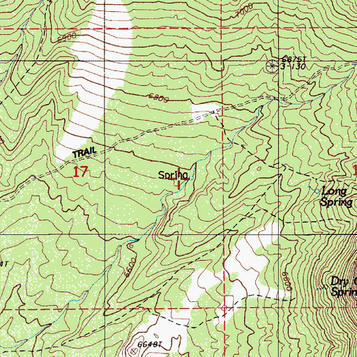 Topographic Map of Long Spring, NV