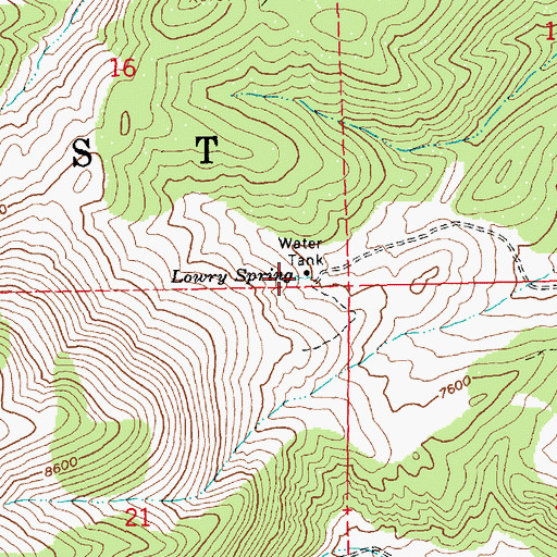 Topographic Map of Lowry Spring, NV