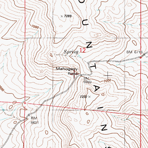 Topographic Map of Mahogany Pass, NV