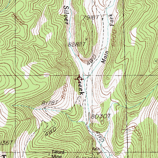 Topographic Map of Main Fork Silver Creek, NV