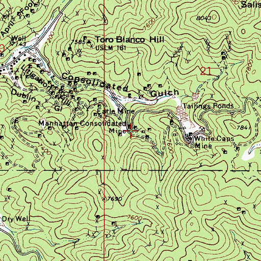 Topographic Map of Manhattan Consolidated Mine, NV