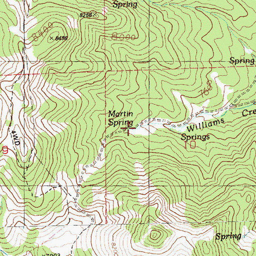 Topographic Map of Martin Spring, NV