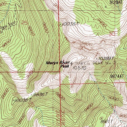 Topographic Map of Marys River Peak, NV