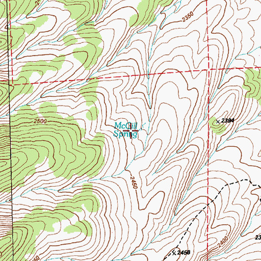 Topographic Map of McGill Spring, NV