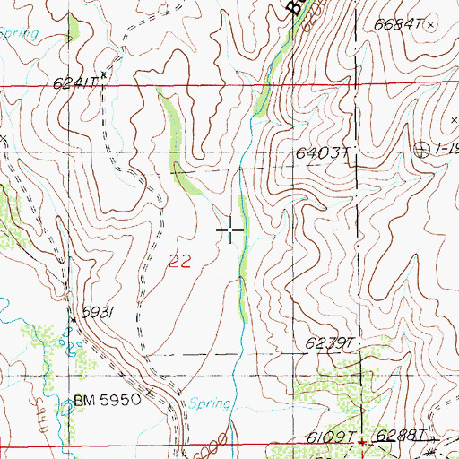 Topographic Map of McKnights Placer Mine, NV