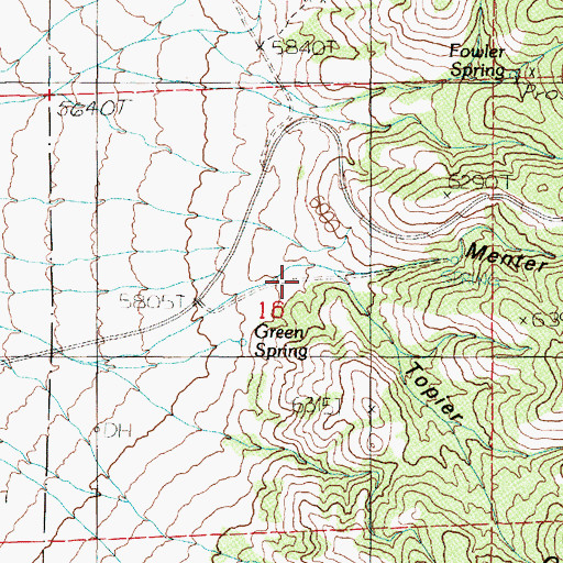 Topographic Map of Menter Canyon, NV