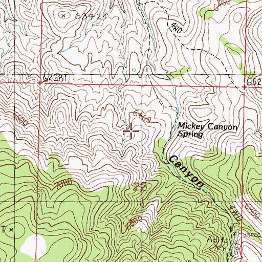 Topographic Map of Mickey Canyon Spring, NV