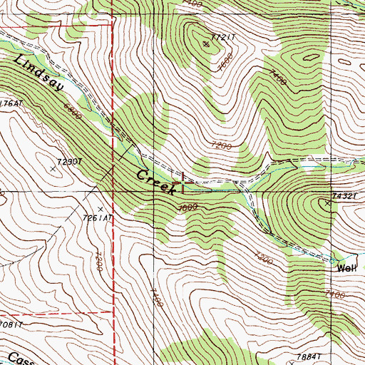 Topographic Map of Middle Fork Lindsay Creek, NV