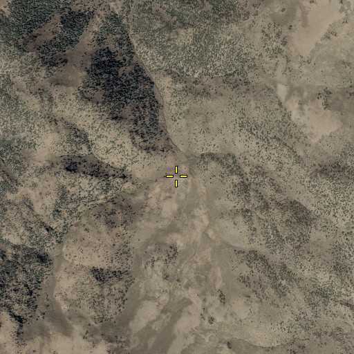 Aerial/Satellite Image of Milton Spring, NV