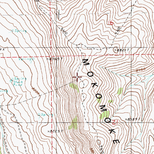 Topographic Map of Mokomoke Mountains, NV