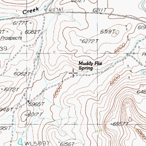 Topographic Map of Muddy Flat Spring, NV