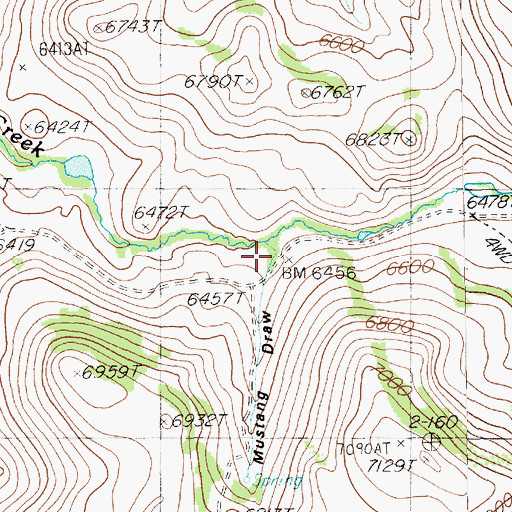 Topographic Map of Mustang Draw, NV