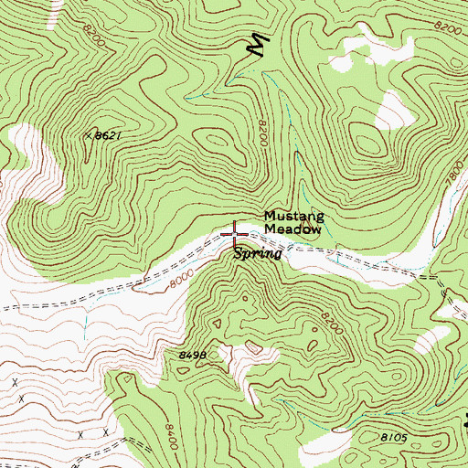 Topographic Map of Mustang Meadow, NV