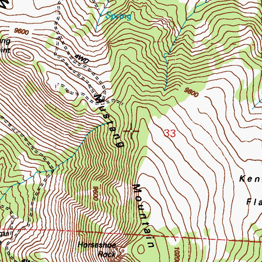 Topographic Map of Mustang Mountain, NV