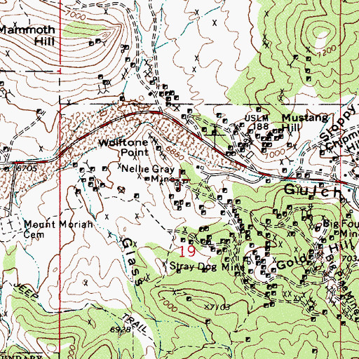Topographic Map of Nellie Gray Mine, NV