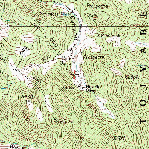 Topographic Map of Nevada Mine, NV