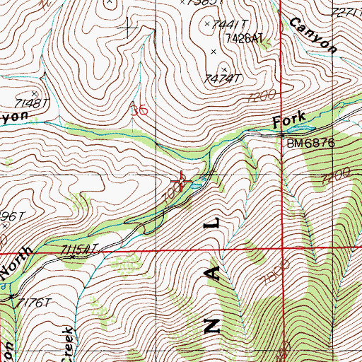 Topographic Map of North Fork Guard Station, NV