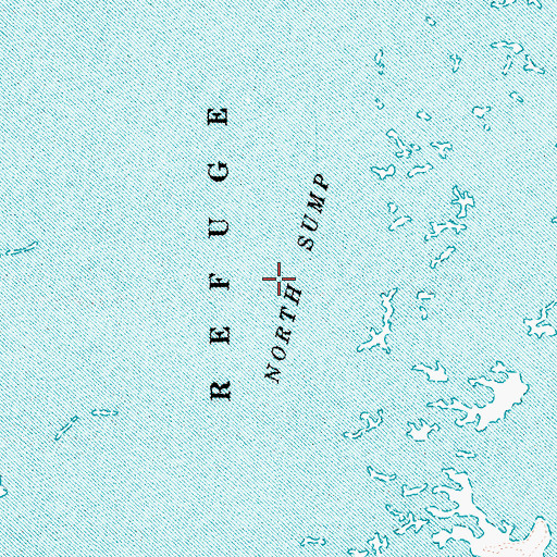 Topographic Map of Ruby Lake North Marsh, NV