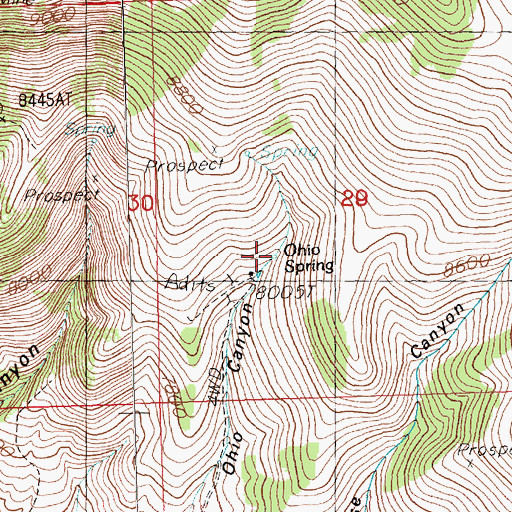 Topographic Map of Ohio Spring, NV