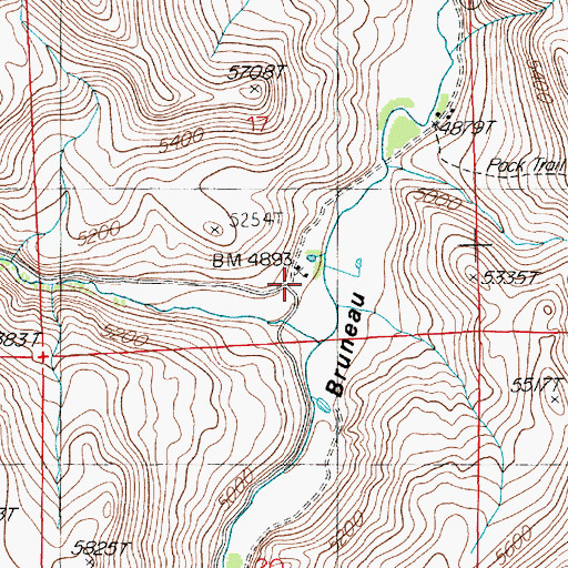 Topographic Map of Old Scott Ranch, NV