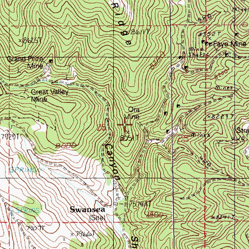 Topographic Map of Ora Mine, NV