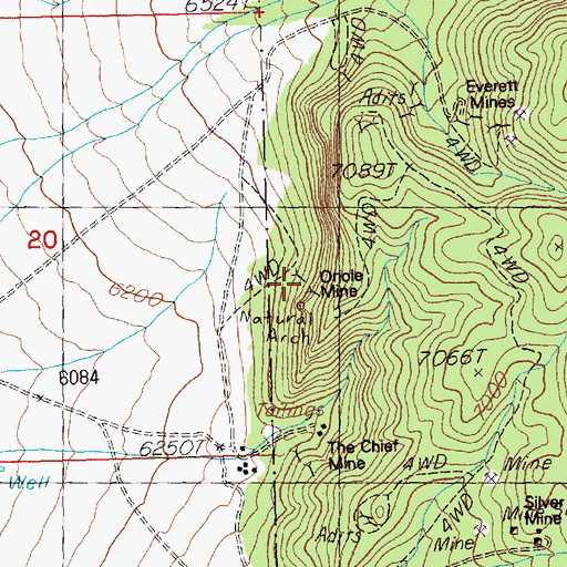 Topographic Map of Oriole Mine, NV
