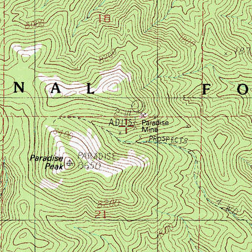 Topographic Map of Paradise Mine, NV