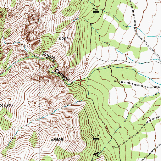 Topographic Map of Pasco Canyon, NV